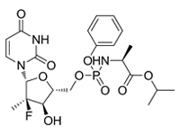 索非不韋，99%