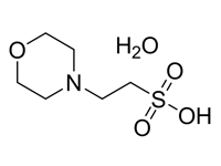 2-(N-嗎啉）乙磺酸一水合物，99%