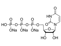 腺苷-5'-二磷酸鈉鹽水合物，98%