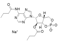 N6,2′-O-二丁?；佘?′,5′-環(huán)磷酸 鈉鹽，97%