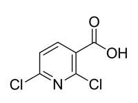 2,6-二氯吡啶-3-羧酸，98%