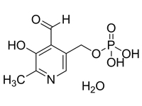 5'-磷酸吡哆醛一水合物，98%