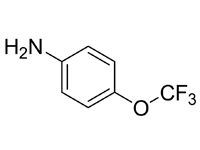 4-三氟甲氧基苯胺，99%（GC)