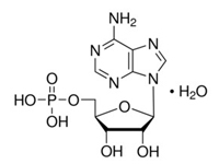 腺苷-5-單磷酸，98%