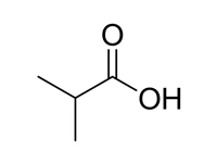 異丁酸，CP，98.5%