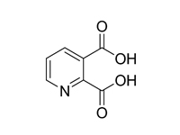 2，3-吡啶二羧酸, 99%（GC）