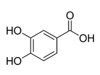 3，4-二羥基苯甲酸，CP，98%