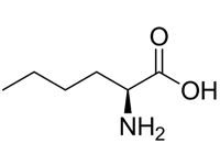 L-正白氨酸，98%（HPLC) 