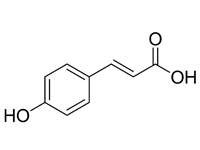 對(duì)羥基肉桂<em>酸</em>，98%（HPLC）