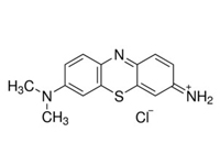 姬姆氏色素，BS 